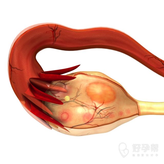 38岁试管一次成功 有些经验值得借鉴 你一定要看