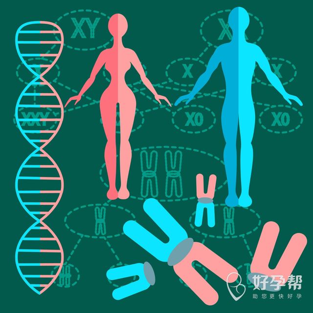 40岁以上试管婴儿论坛 看看大家都在讨论什么