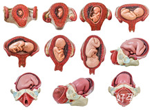 作试管女44岁成功几率 提升成功率有方法 这些要学会