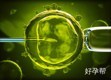 上海做试管婴儿大概需要多少费用  第二代试管婴儿费用大概多少