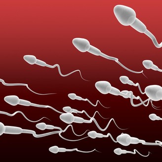 男性少精症可以去海外做试管婴儿吗  男性精子弱做人工授精还是试管婴儿