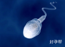 广州试管助孕包成功 真的可信吗？