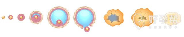 珠海妇幼试管要排多久 打促排卵针痛苦吗？