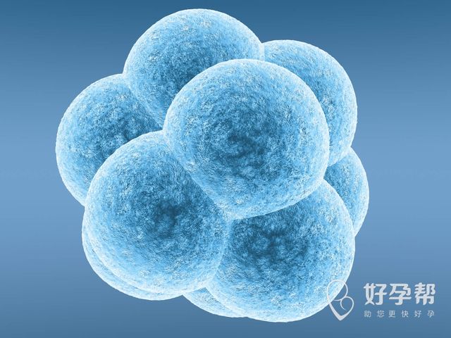 肇庆西江医院试管经历 一起来看看试管婴儿流程