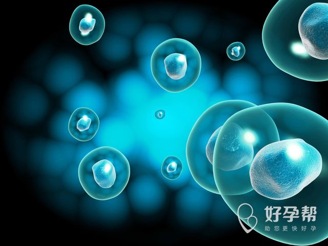 第三代试管婴儿能解决高龄问题吗？高龄能不能直接做试管？