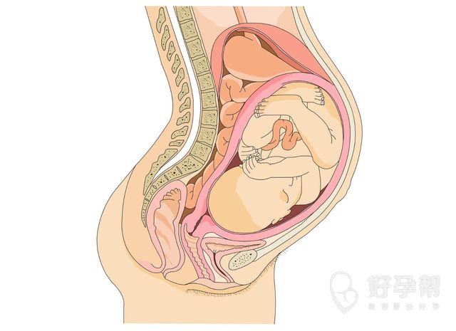 国内最高龄试管婴儿是多大？年龄大生孩子会影响胎儿健康么？