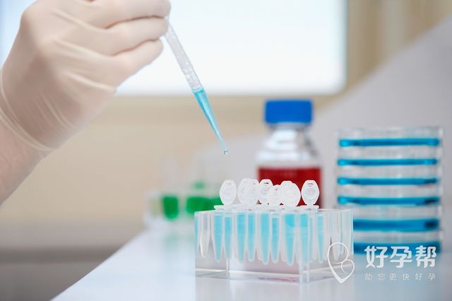 为什么高龄女性做试管婴儿容易失败  为什么大龄女性做试管婴儿容易着床失败