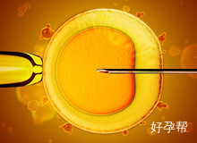 试管婴儿的过程  做试管婴儿的全过程