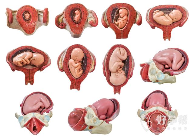 南宁二医院试管多少钱？为什么有的人贵，有的人便宜？