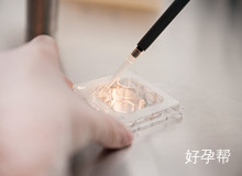 钦州妇幼做试管医生：做试管婴儿必须要满足这些条件