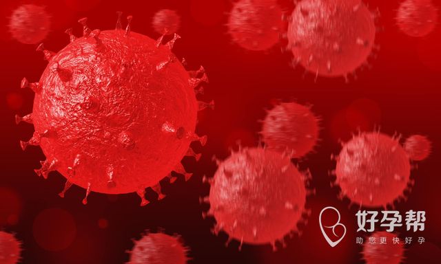 钦州试管婴儿多长时间？一个周期的时间有多长