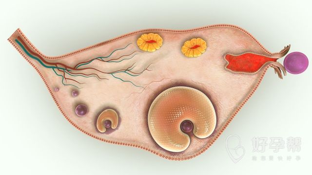 长沙私立试管婴儿靠谱吗？一起来看看