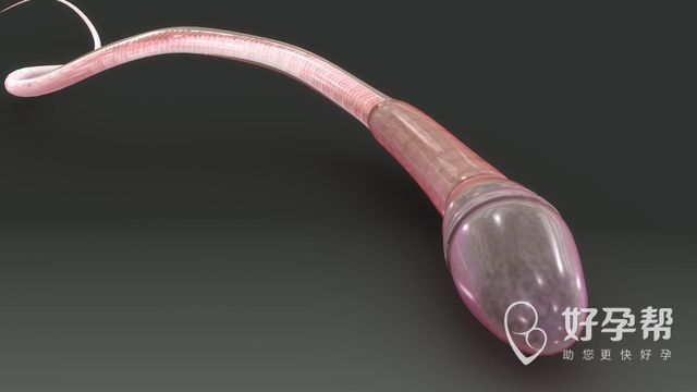 长沙试管婴儿排行 医院排行的标准是什么？