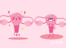 衡阳试管婴儿成功率高吗？