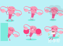 常德试管婴儿医院排名 怎样参考最合理？