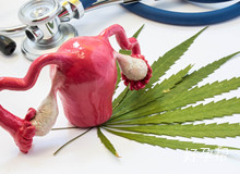 邵阳中心医院试管婴儿多少钱 是否容易成功