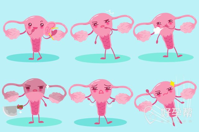 邵阳试管婴儿多少钱 什么时候能取卵呢