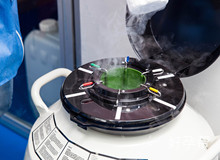 邵阳试管婴儿签约 签约有哪些注意事项？