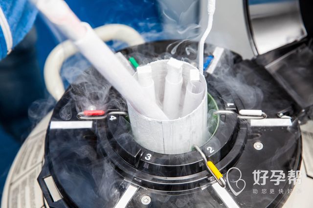 邵阳汇恩试管能选男女？一起来看看