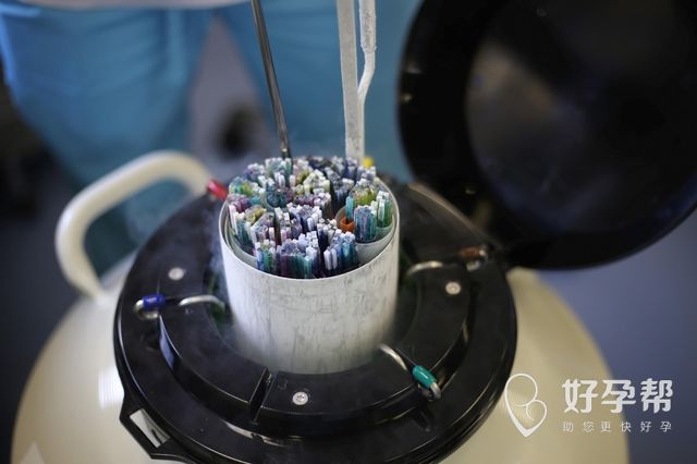 怀化妇幼保健院做试管婴儿要多少钱？各阶段费用概览