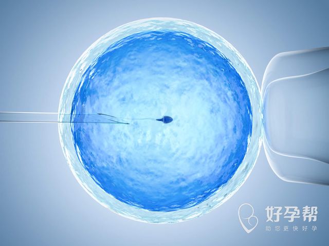 大连生殖中心试管婴儿：怎样才能做试管婴儿成功？