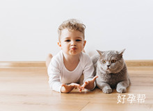 大连南关岭试管婴儿医院:做试管婴儿要做好这些工作