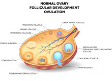 昆山做试管婴儿需多少钱啊？你的钱去哪儿了？