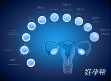 镇江四院试管婴儿专家告诉你 女性进入到试管婴儿周期后注意什么?