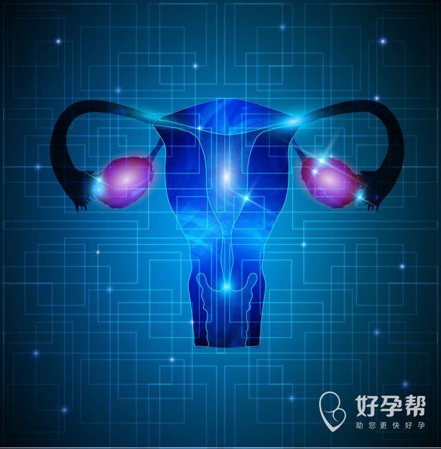 试管婴儿一次成功率 这些因素正在悄悄影响你