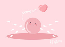 河北不孕不育哪家医院最好 如何选择好的医院？