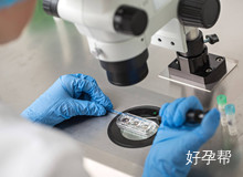 茂名试管婴儿女专家 你知道试管婴儿哪些环节重要吗？