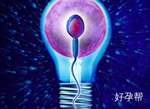 精子质量不好的征兆?为什么精子质量差?