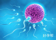 成都看不孕不育的老中医 不孕不育如何治疗?