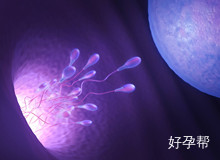 北京三院三代试管婴儿多少钱 钱都花在哪儿?