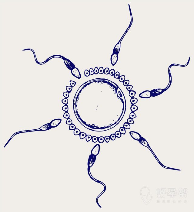 北京和睦家月子中心价格 坐月子一个月多少钱？