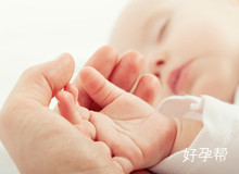试管一般取多少卵好?如何提高卵子质量?