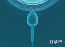 睾丸穿刺没有精子还有治吗？没有精子还能有孩子吗？