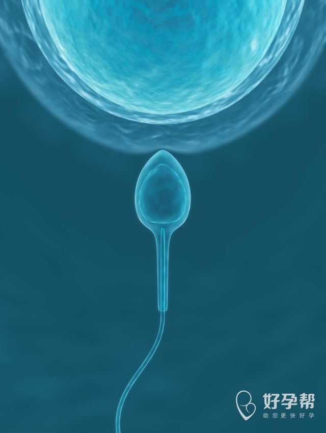 睾丸穿刺没有精子还有治吗？没有精子还能有孩子吗？