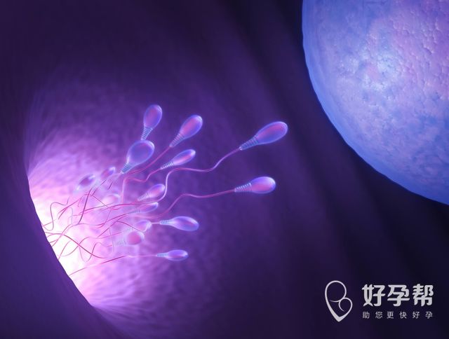 二代试管和三代试管的费用有什么差别？哪些因素会影响费用？