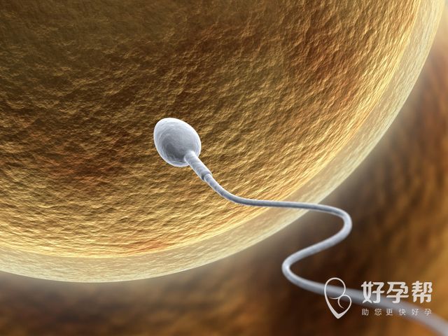 哈尔滨医大一院试管婴儿怎么样？哪些人做试管婴儿更容易成功？