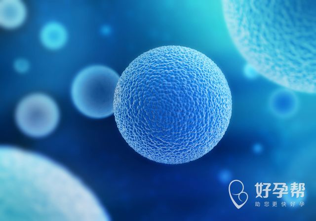 沈阳生殖中心医院排名哪家高？试管失败是因为它