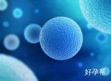 沈阳生殖中心医院排名哪家高?试管失败是因为它