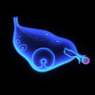 南昌妇幼保健院做试管要多少钱?试管原来要这么多钱