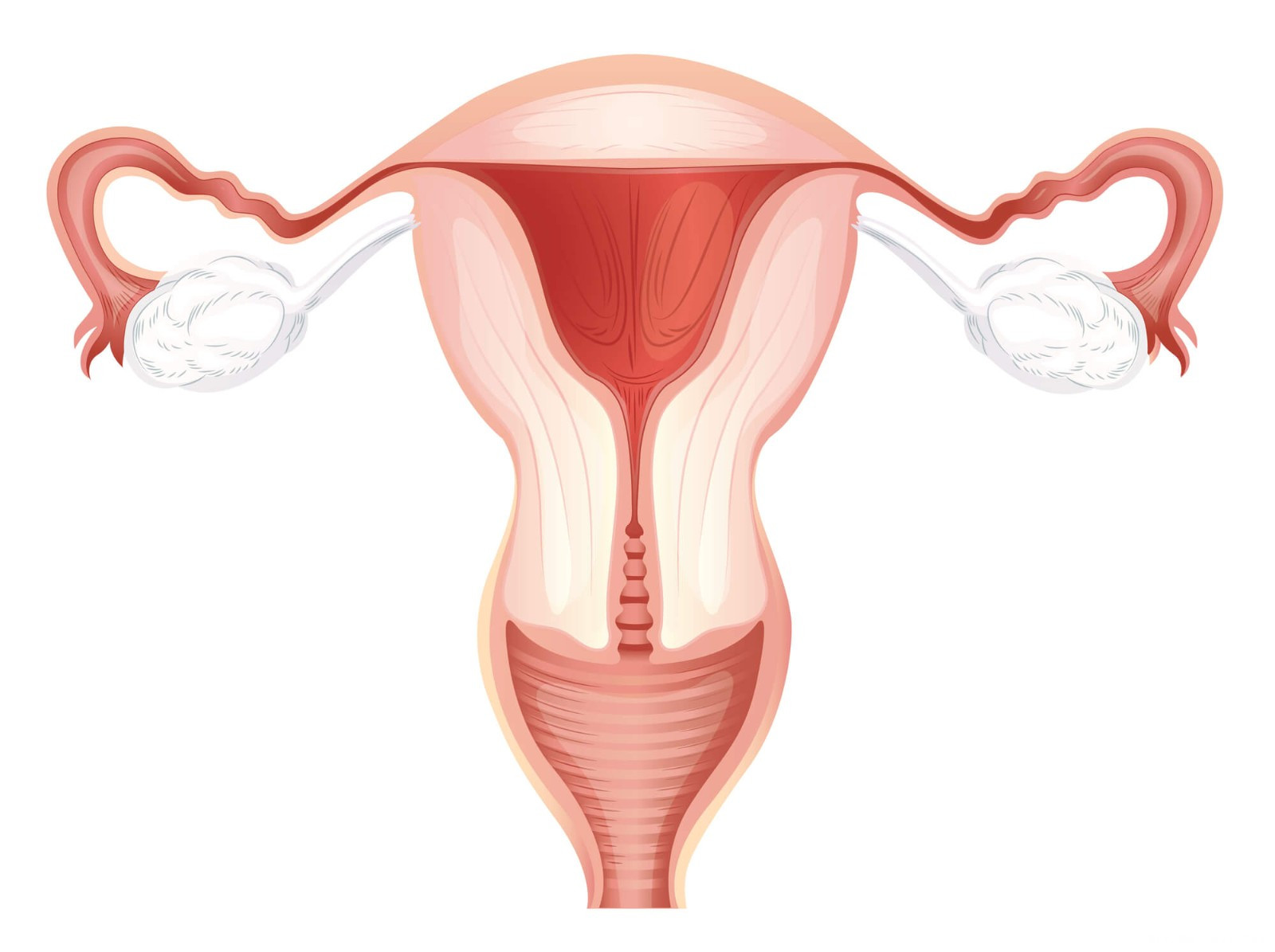 试管婴儿囊胚移植有什么优点？