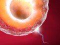 北京试管婴儿医院胚胎移植：成功率、技术和专家经验总结
