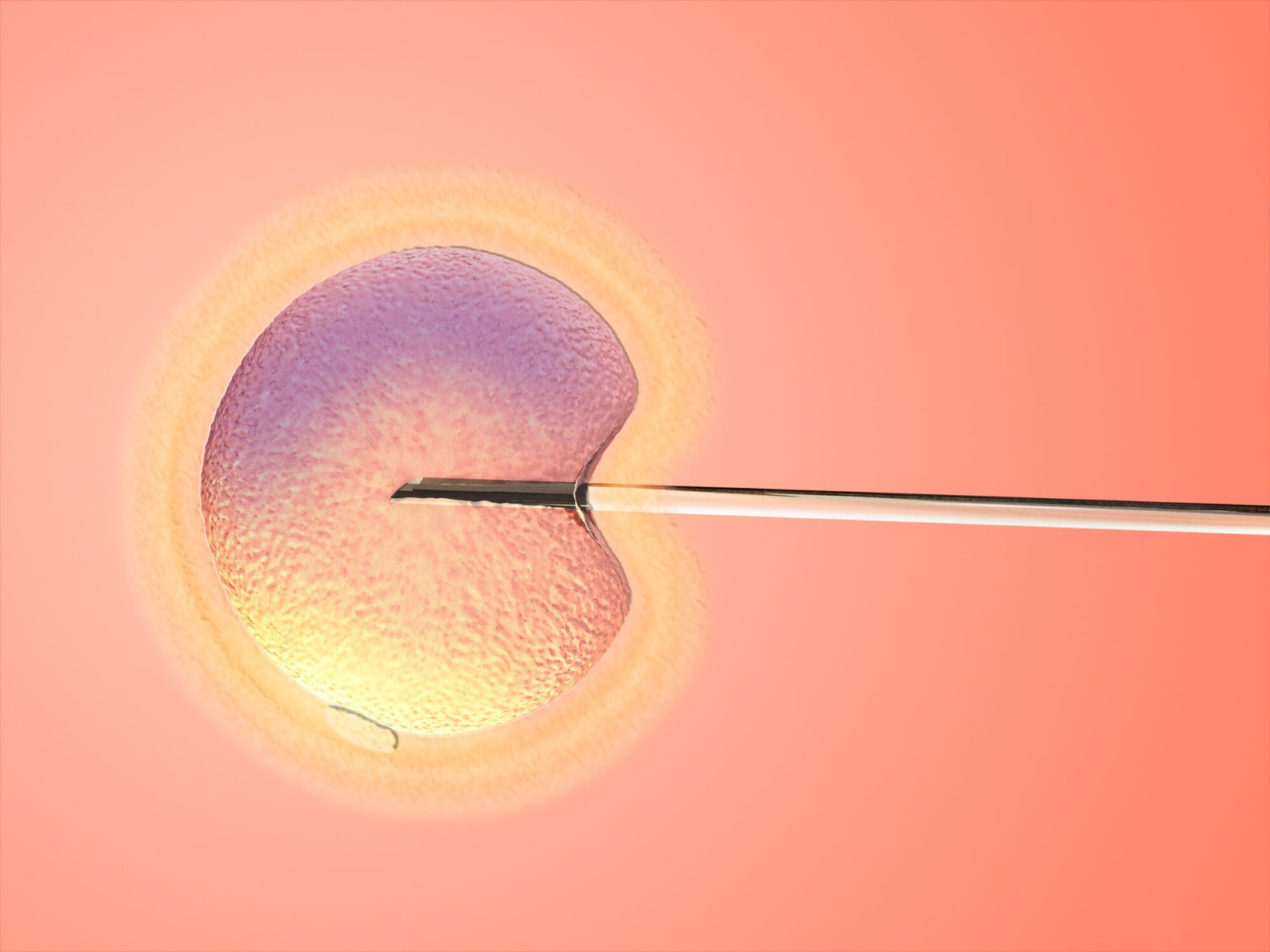 泰国试管婴儿胚胎移植技术解析：几枚胚胎可以好孕...