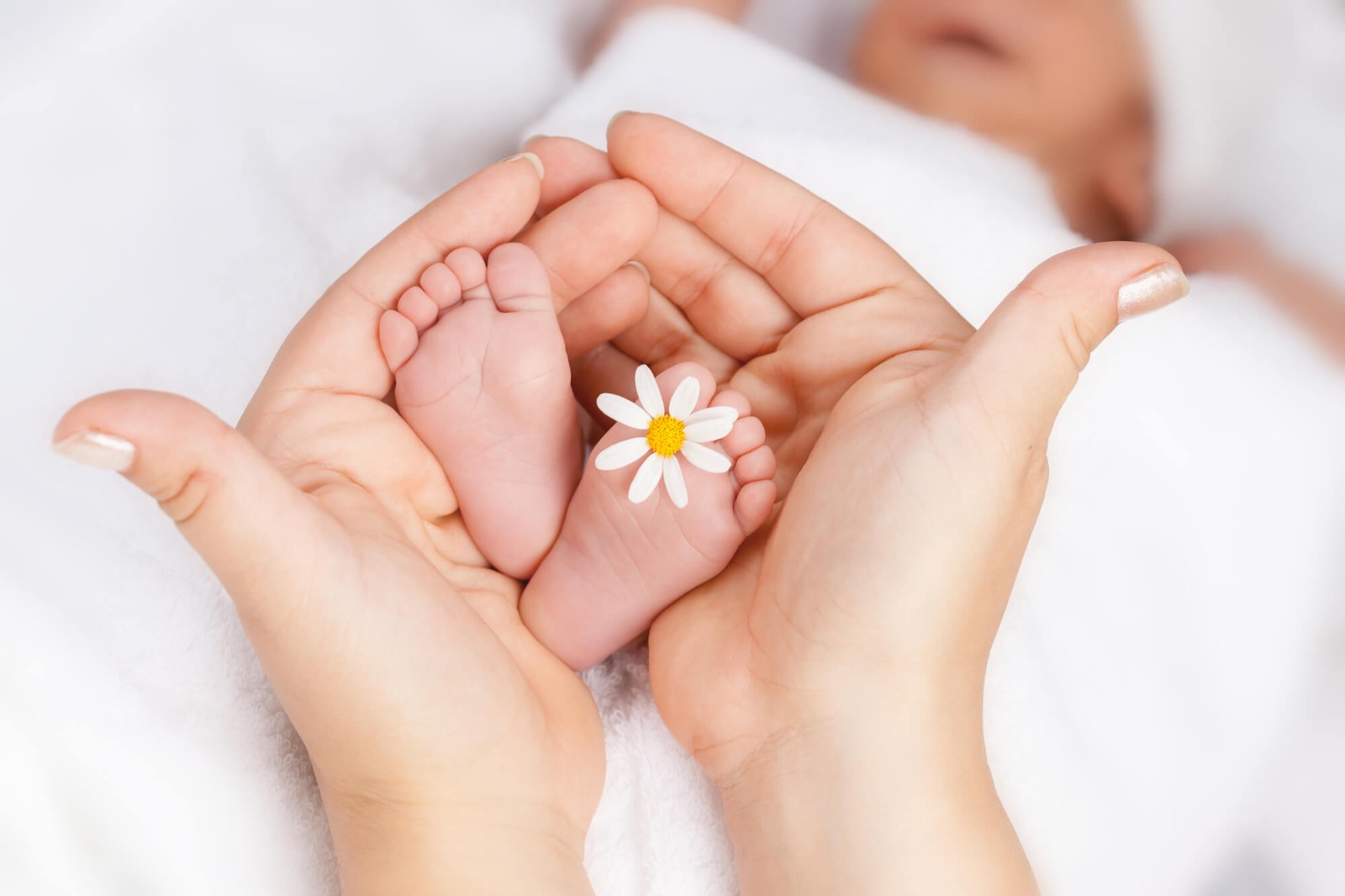 泰国生育技术：卵巢早衰患者试管婴儿成功率解读...