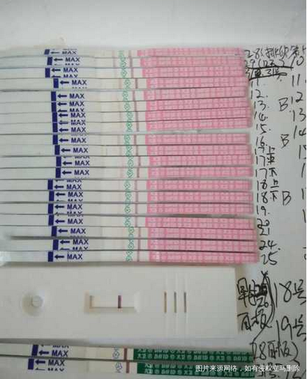 【我和春天有个约定】我的备孕心路!!终于好孕啦!!!