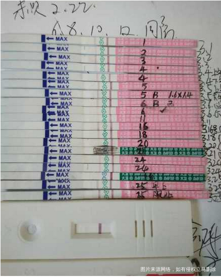 【我和春天有个约定】我的备孕心路!!终于好孕啦!!!