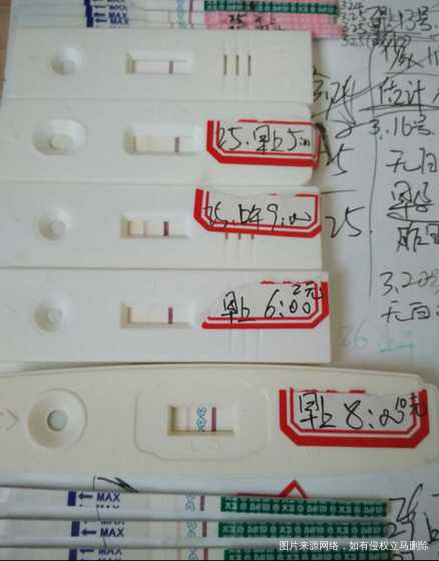 【我和春天有个约定】我的备孕心路!!终于好孕啦!!!